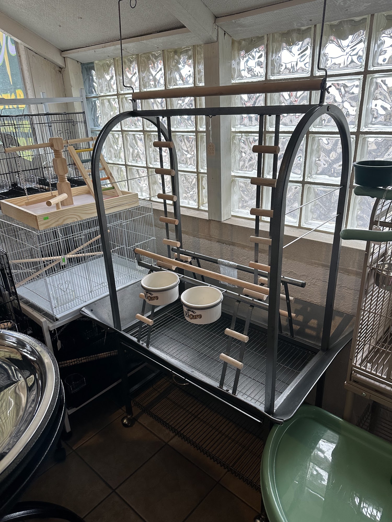 Jo's Exotic Birds Ltd Kenosha