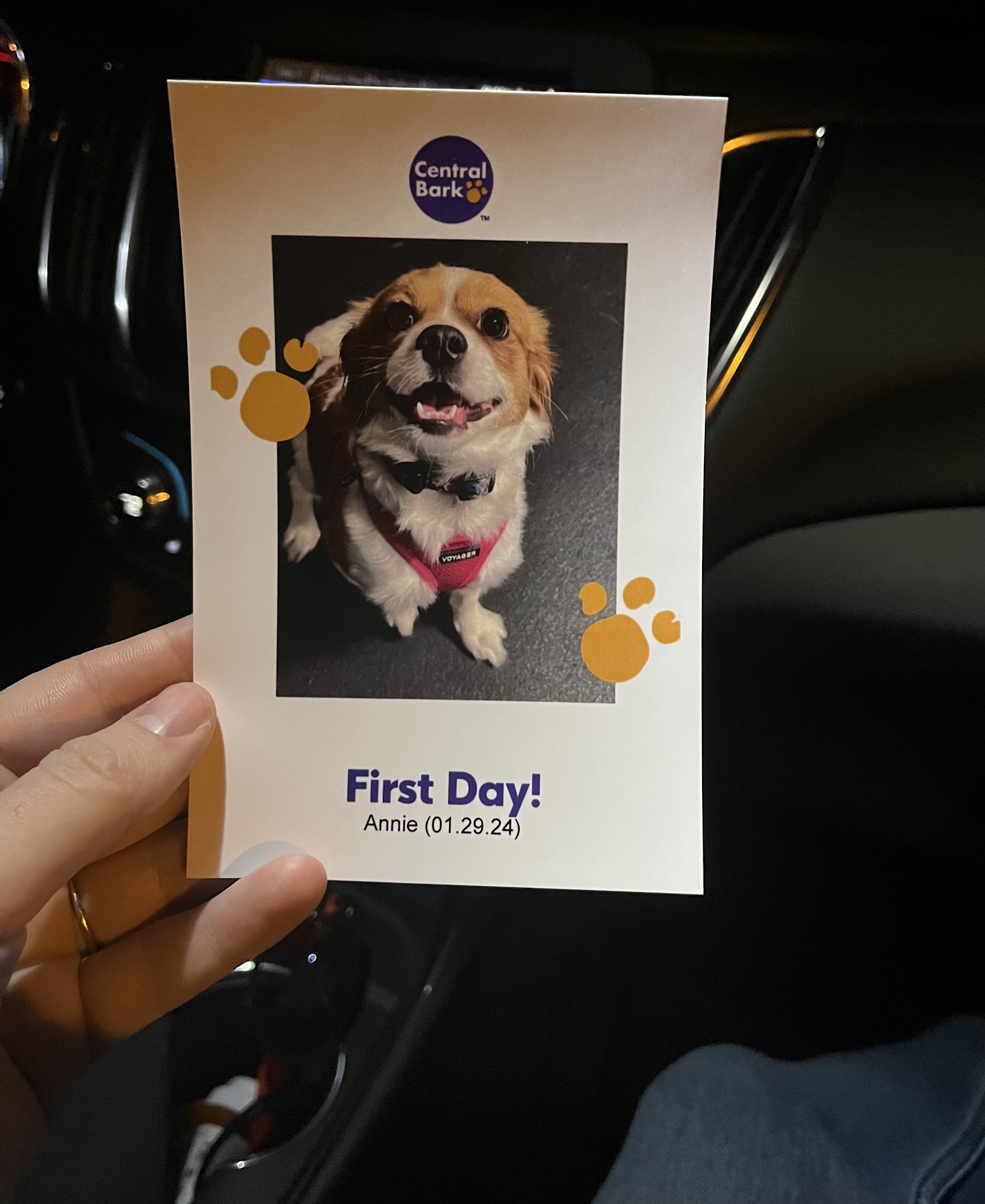 Central Bark Kenosha Kenosha