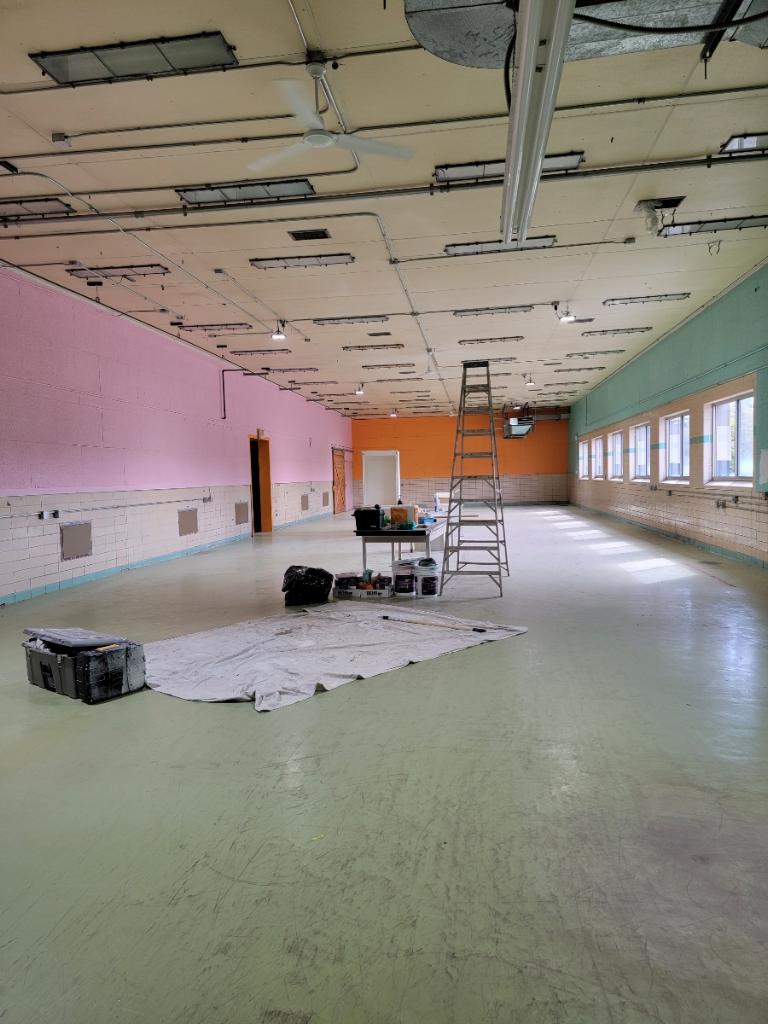 Nutzy Mutz & Crazy Catz Madison