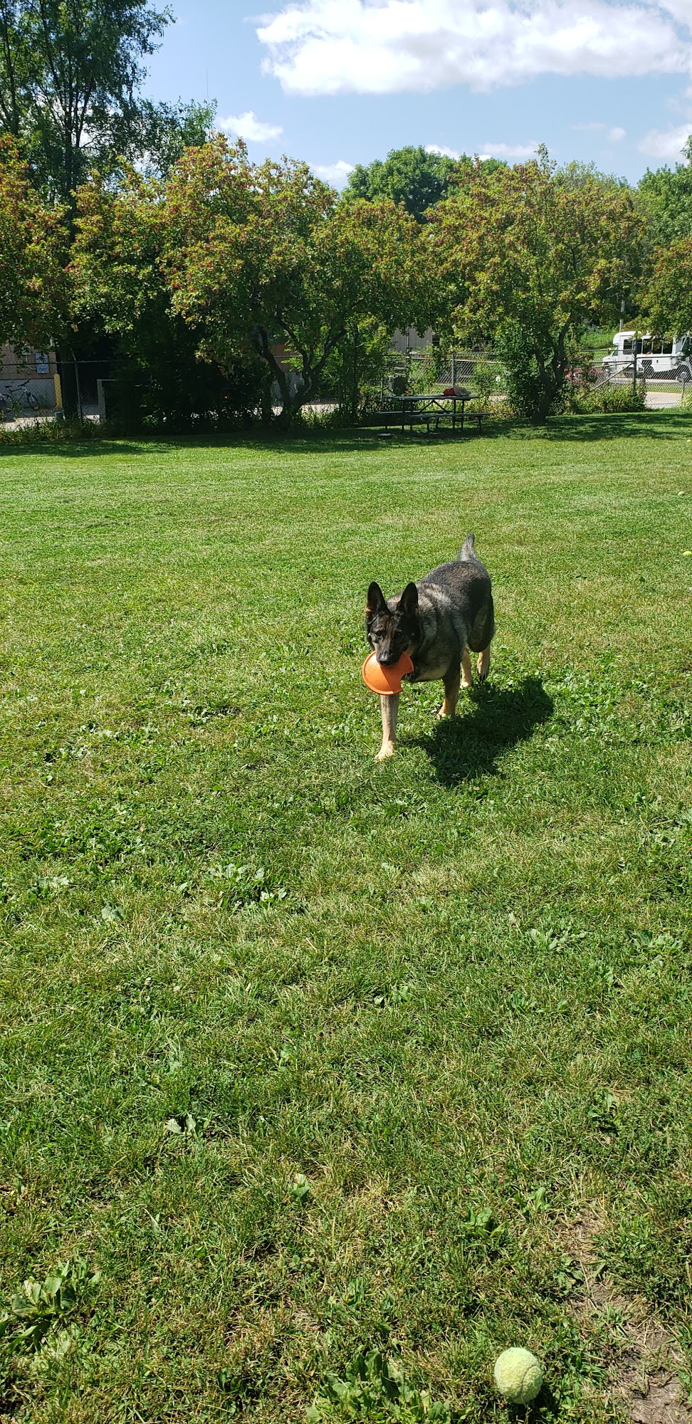 Monona Dog Park Monona