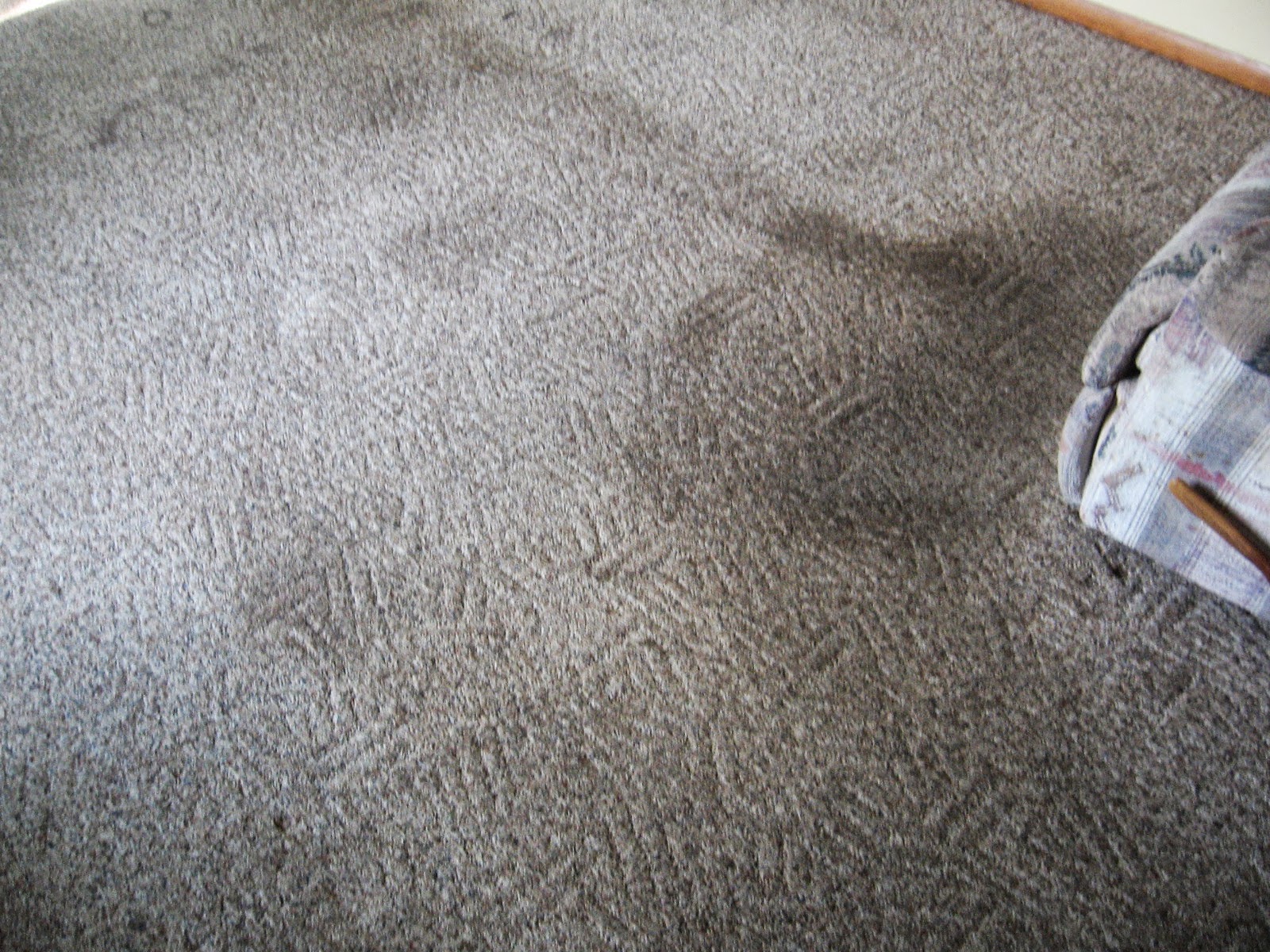 xtreme carpet cleaning 862 Wisconsin Ave, North Fond Du Lac Wisconsin 54937
