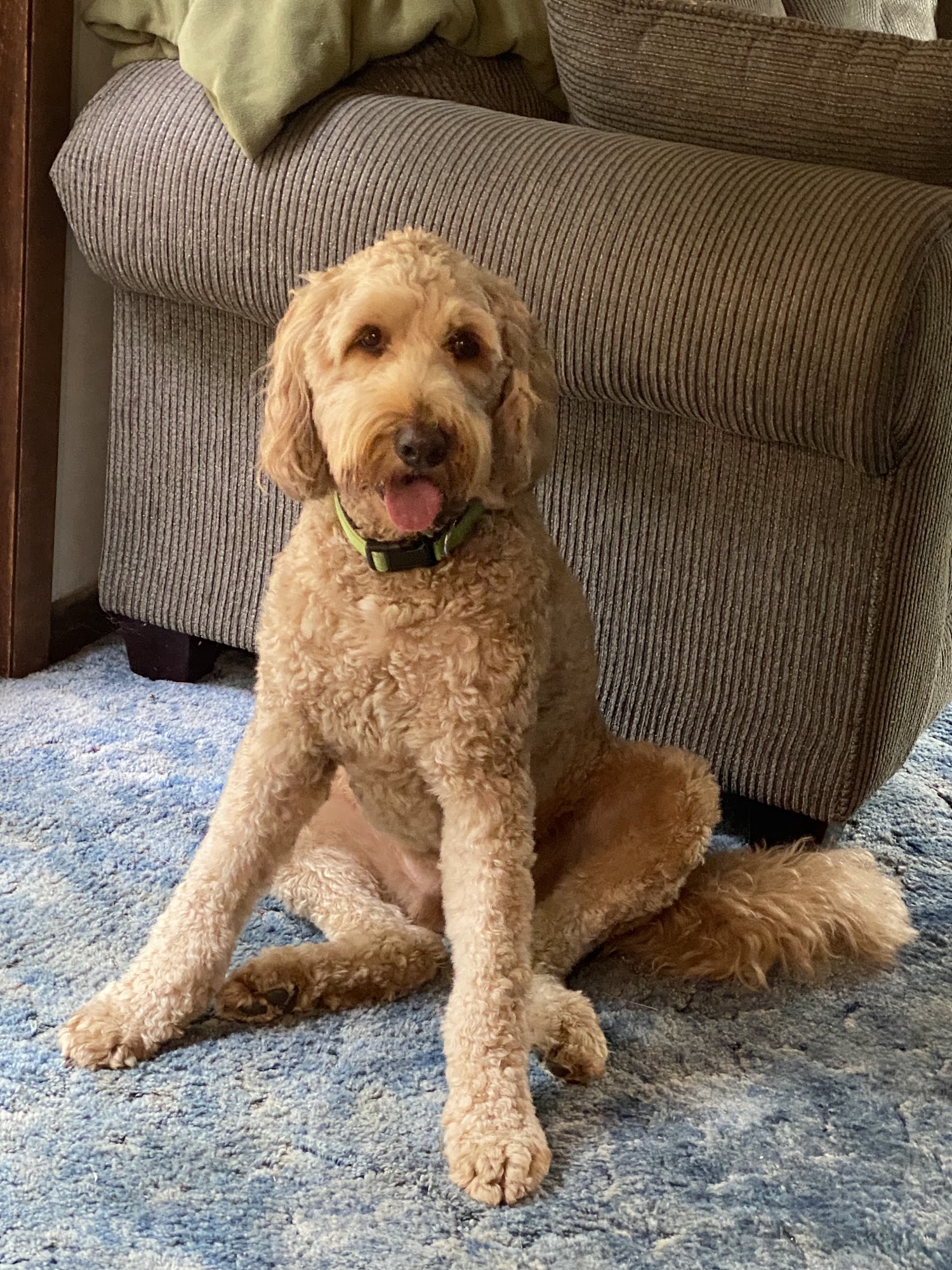 Christel's Pet Supplies & More Plymouth