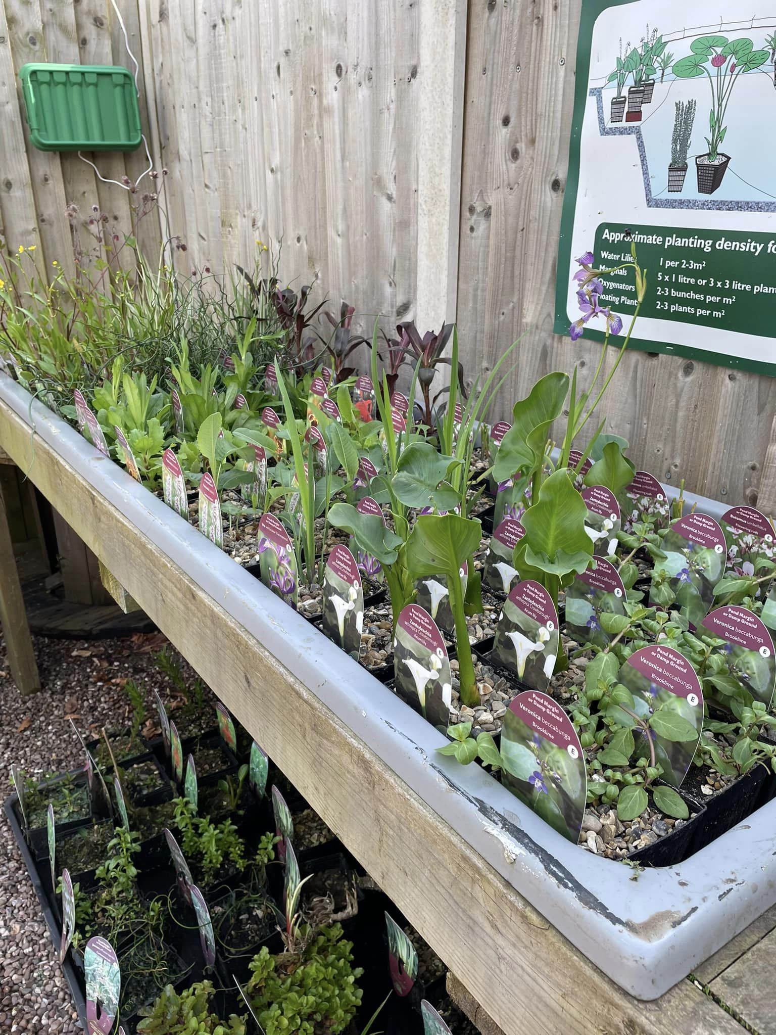 Three Springs Garden Nursery