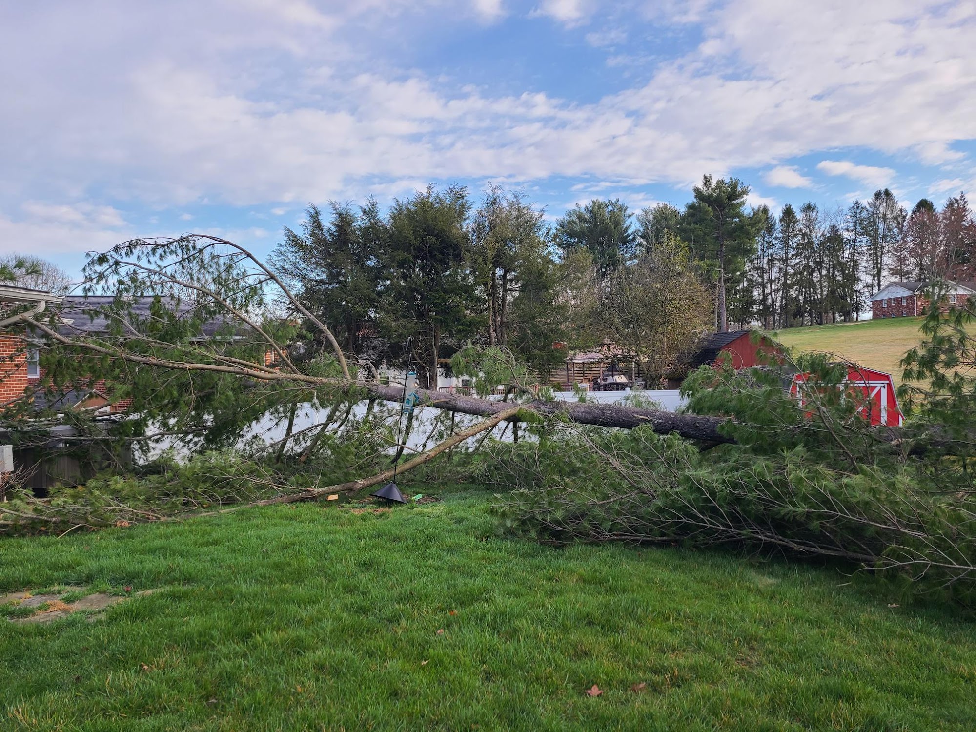 Top Notch Tree Solutions