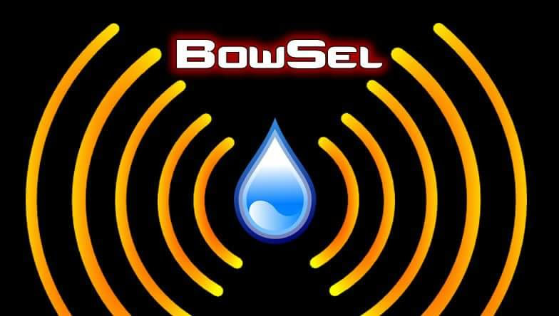 BowSel, LLC