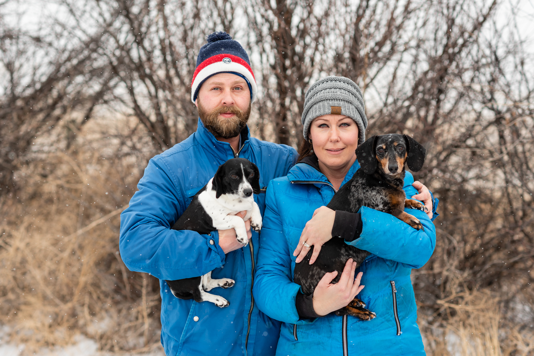 The Bradbury Boarding Camp Luxury Pet Lodge & Country Resort Cheyenne